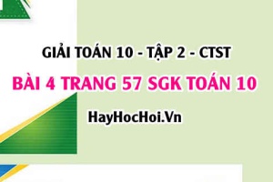 Giải bài 4 trang 57 Toán 10 tập 2 SGK Chân trời sáng tạo